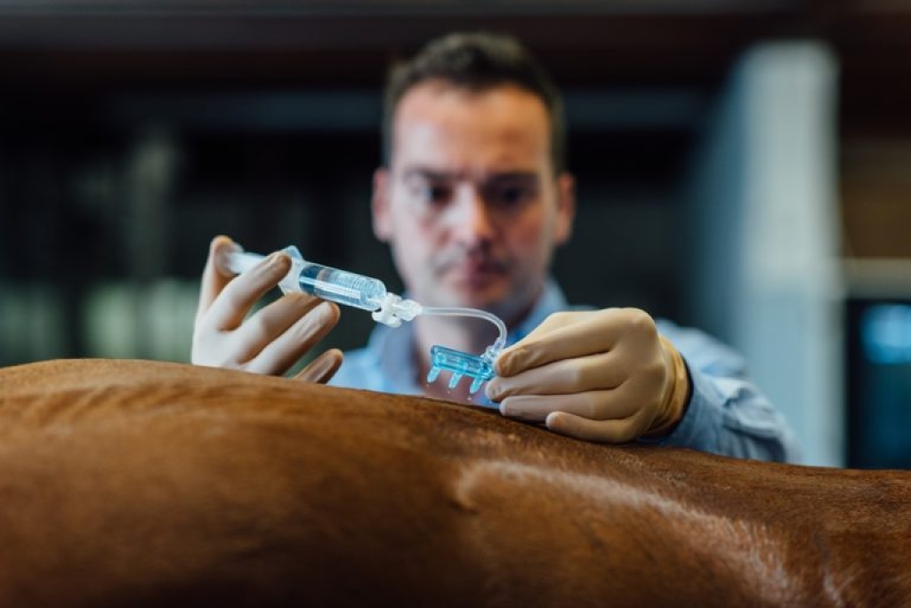 mesotherapie 