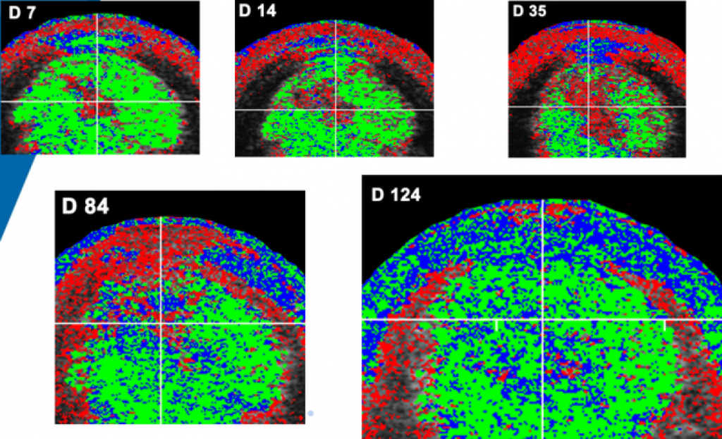 UTC-herstel-in-dagen