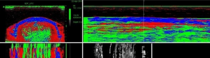 UTC | nieuwe publicatie op Paardenarts.nl
